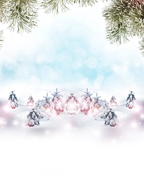 Paisaje invernal. Árboles cubiertos de nieve. fondo de Navidad —  Fotos de Stock