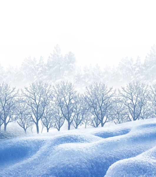 Winter Forest. Vinterlandskap. Snön täckte träden. — Stockfoto