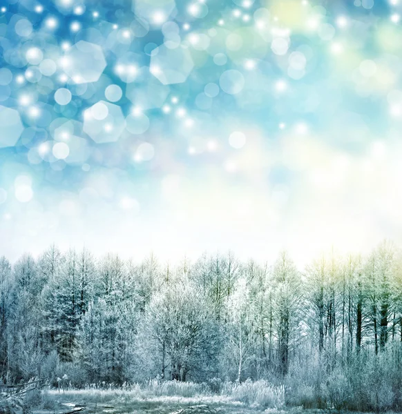 Winter. Schneefall. Winterlandschaft. abstrakte Winter Weihnachten Hintergrund. Winterwald — Stockfoto