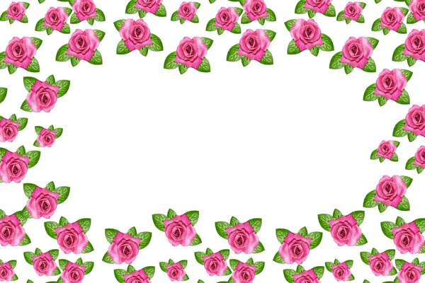 Цветочные розы. Праздник — стоковое фото