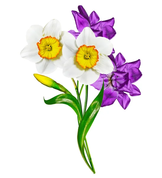 Våren blommor iris isolerad på vit bakgrund. vackra flo — Stockfoto