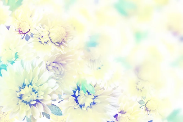 Abstraktní pozadí od Jiřiny květiny — Stock fotografie