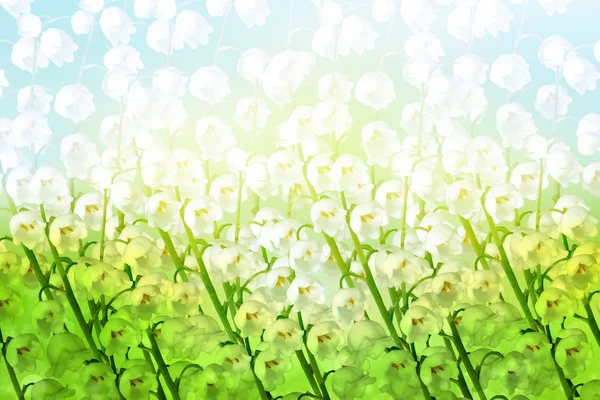 Background of spring flowers lily of the valley — Stock Photo, Image