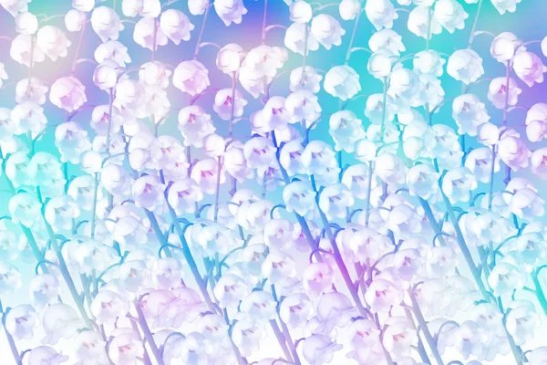 Background of spring flowers lily of the valley — Stock Photo, Image