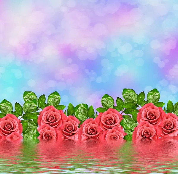 Os botões de flores rosas. Cartão de Natal. Fundo floral de ro — Fotografia de Stock