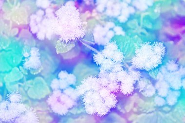 Mavi çiçekli çiçekli arka plan.