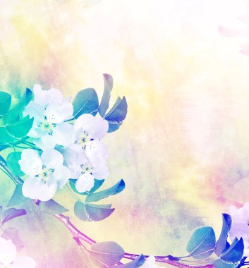 Bahar manzara. Çiçekli armut