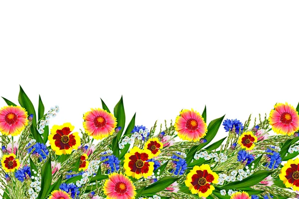 Bukett av färgglada blommor av Gaillardia. fina blommor isol — Stockfoto