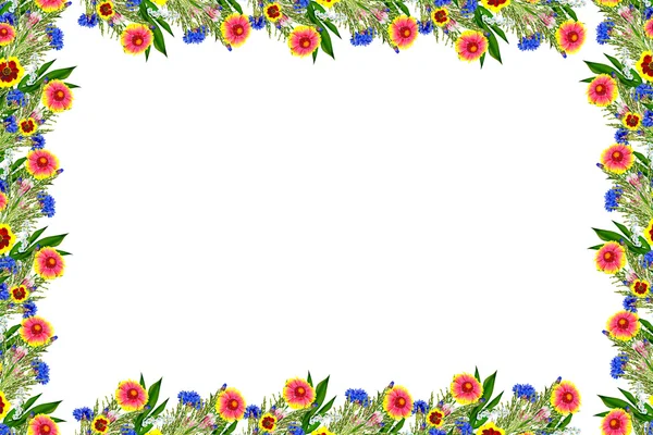 Boeket van kleurrijke bloemen van Gaillardia. delicate bloemen isol — Stockfoto
