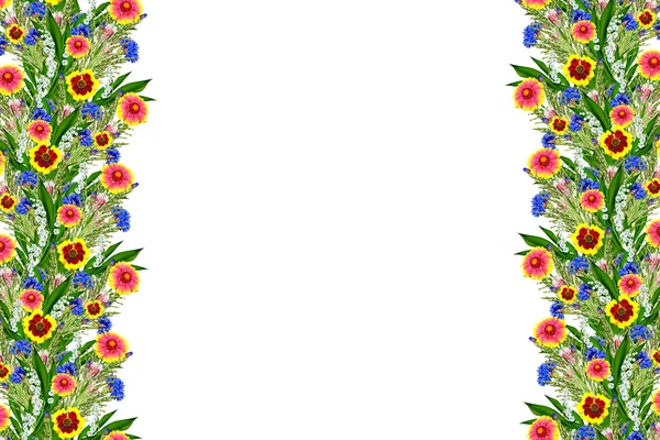 Букет з різнокольорових квіточок Gaillardia. ніжні квіти isol — стокове фото