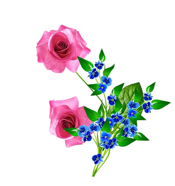 Die Knospen der Blumen Rosen. — Stockfoto