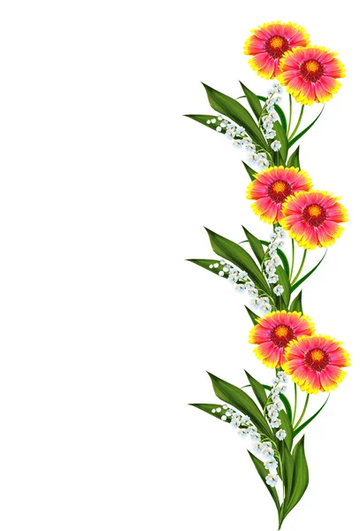 Bouquet of colorful flowers of Gaillardia. delicate flowers isol — Stock Photo, Image