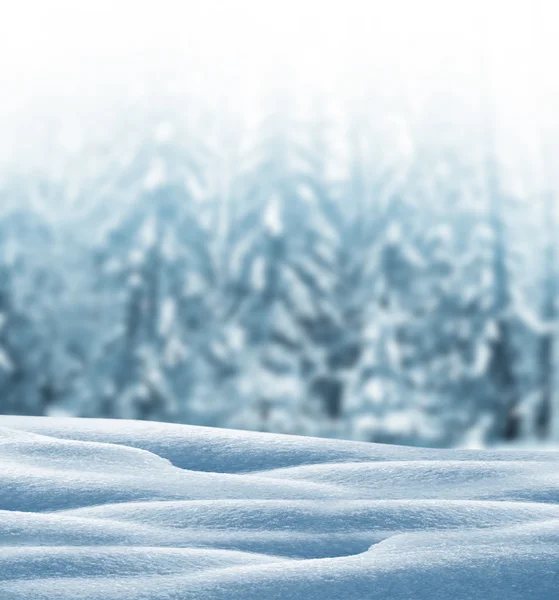 Foresta invernale. Paesaggio invernale. Alberi innevati — Foto Stock