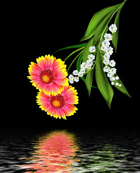 Gaillardia의 다채로운 꽃의 꽃다발입니다. 섬세 한 꽃 isol — 스톡 사진