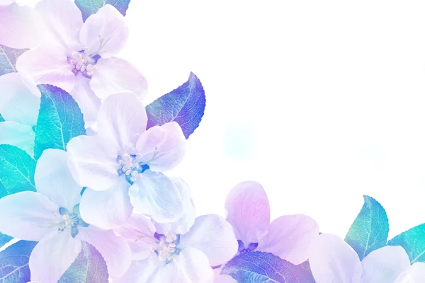 Abstract background of delicate apple petals. Spring. — Stock Photo, Image