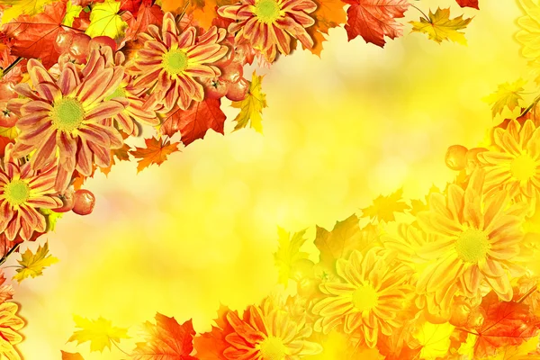 Fundo abstrato de folhas de outono — Fotografia de Stock