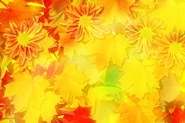 Sonbahar yapraklarının soyut arkaplanı — Stok fotoğraf