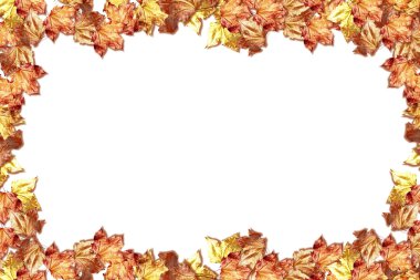 Sonbahar yapraklarının soyut arkaplanı 