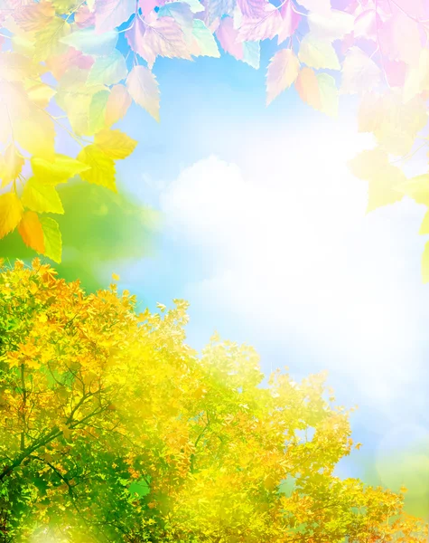 秋の雲と青い空を背景の葉します。 — ストック写真