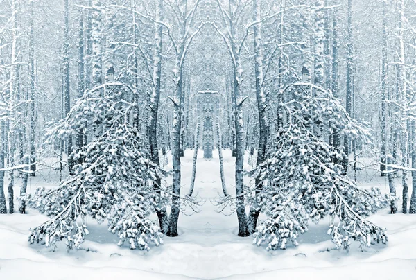Χειμώνας δάσος. Χειμερινό τοπίο. Χιονοσκέπαστο δέντρα — Φωτογραφία Αρχείου