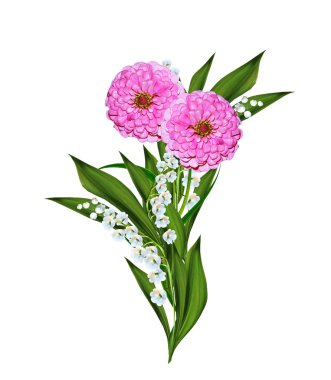 Beyaz arka plan üzerinde izole sonbahar Aster çiçek