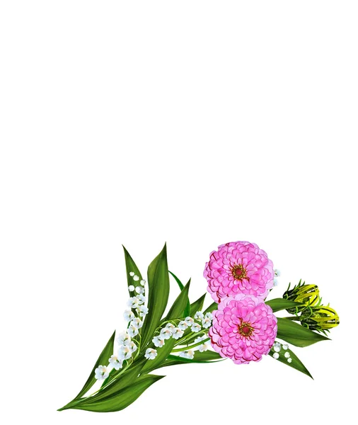 Flor dahlia isolado no fundo branco — Fotografia de Stock