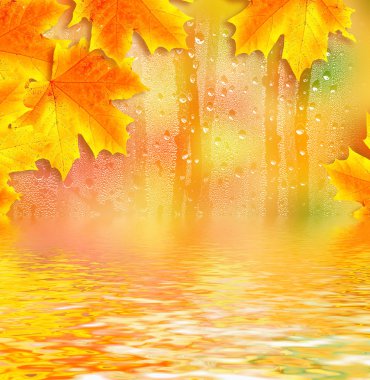 herfst gebladerte. Gouden herfst. 