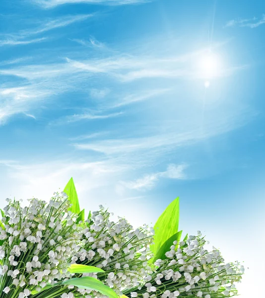 Spring landscape. flowers lily of the valley — Stock Photo, Image