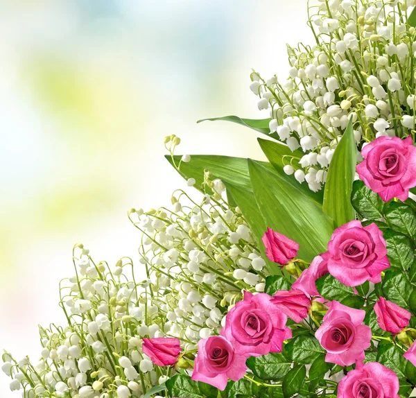 Knoppar blommor rosor. Julkort. Floral bakgrund av ro — Stockfoto