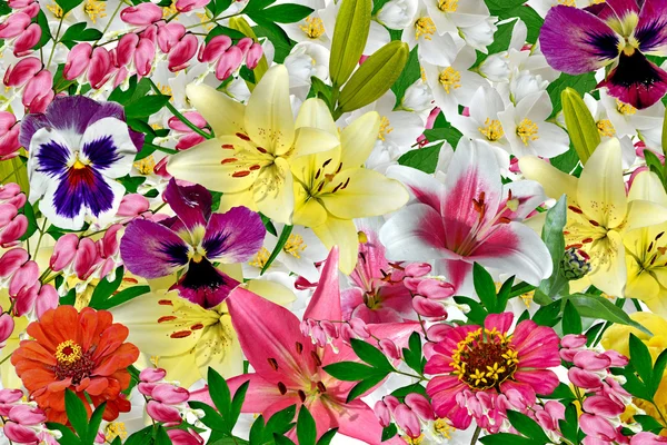 色とりどりの花の花の背景。色とりどりの花. — ストック写真