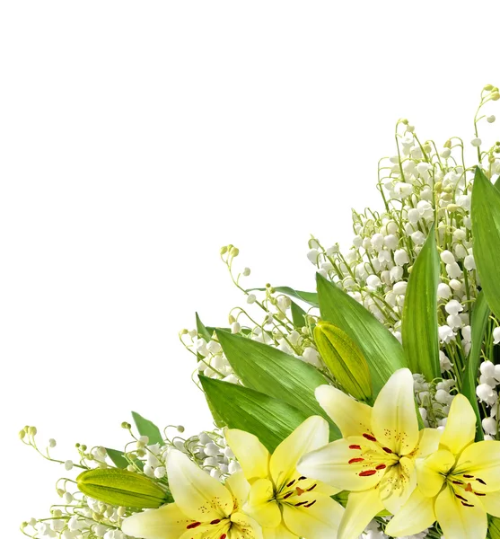 Giglio fiore isolato su sfondo bianco. — Foto Stock