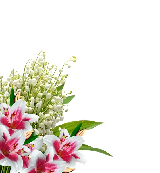 Çiçek zambağı beyaz arkaplanda izole edildi. — Stok fotoğraf