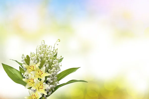 Schöne Blumen Lilie und Maiglöckchen — Stockfoto