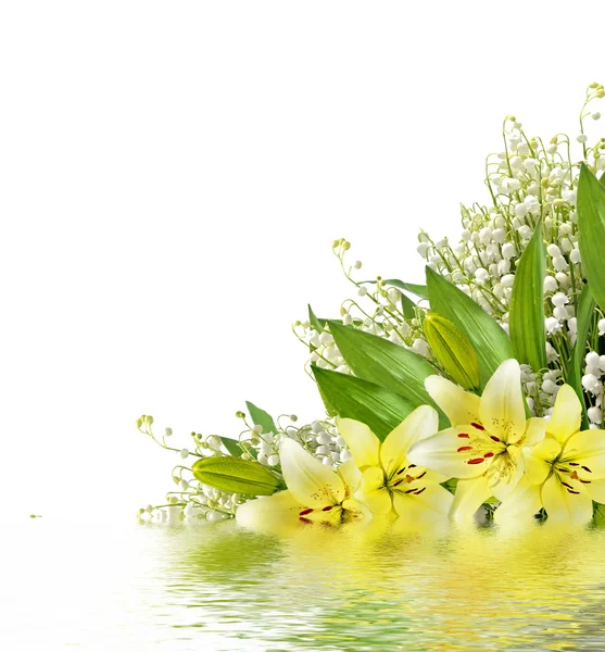 Blume Lilie isoliert auf weißem Hintergrund. — Stockfoto