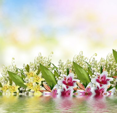 Güzel çiçekler lily ve lily vadi