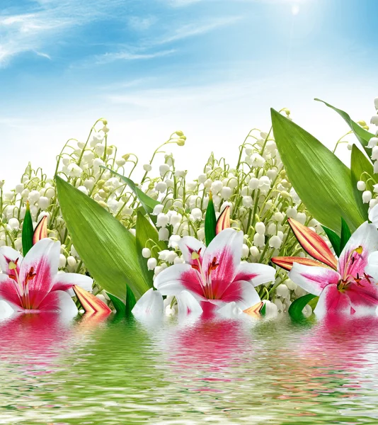 Beautiful flowers lily and lily of the valley — Stock Photo, Image