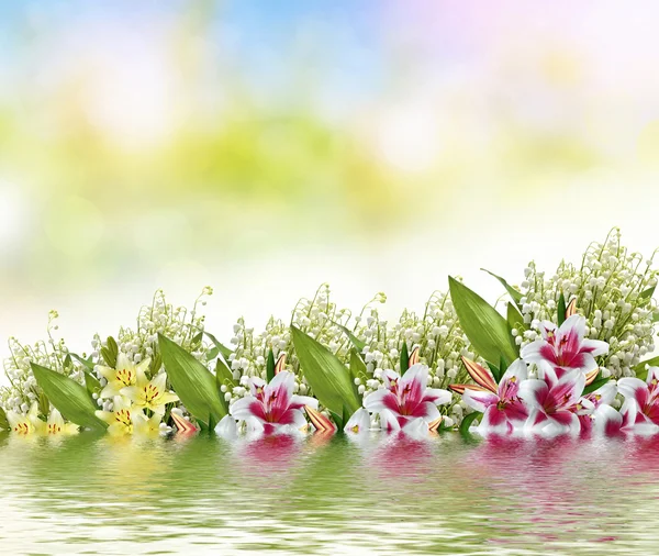 Beautiful flowers lily and lily of the valley — Stock Photo, Image
