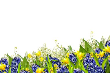 Beyaz arka plan üzerinde izole güzel çiçekler. Çiçekli adam