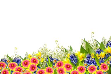 Beyaz arka plan üzerinde izole güzel çiçekler. Çiçekli adam