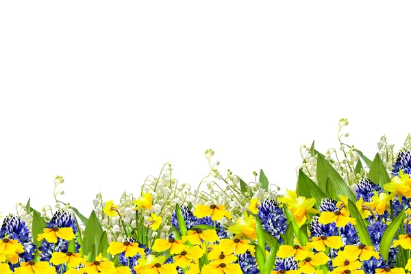Beyaz arka plan üzerinde izole güzel çiçekler. Çiçekli adam — Stok fotoğraf