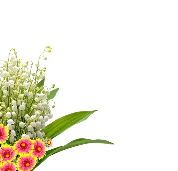 De tak van lelies van de vallei bloemen geïsoleerd op witte bac — Stockfoto