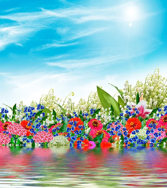 Kleurrijke bloemen op een achtergrond van blauwe hemel met wolken. — Stockfoto