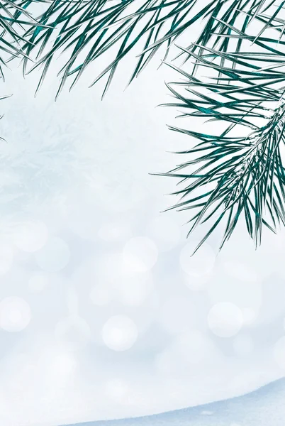 Winterlandschaft. Hintergrund. Schnee. Weihnachtsbaum. Schneedecke — Stockfoto