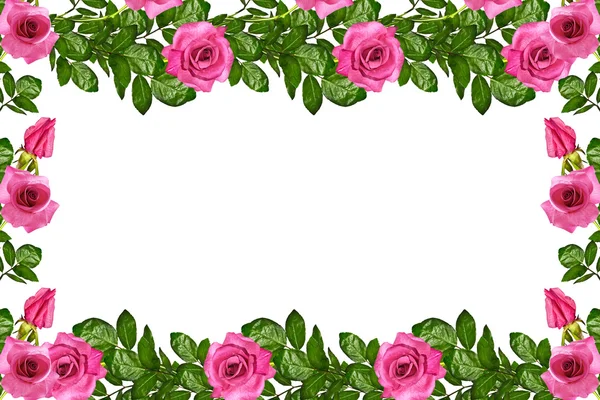 Οι οφθαλμοί των τριαντάφυλλων λουλούδια. Κάρτα διακοπών — Φωτογραφία Αρχείου