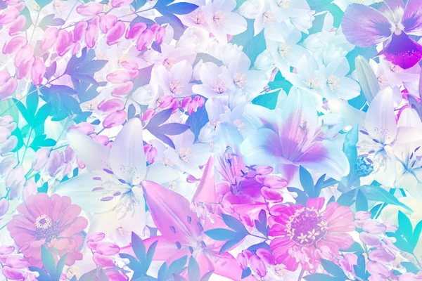 色とりどりの花の花の背景。色とりどりの花. — ストック写真