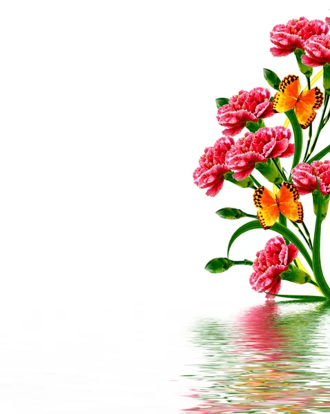 Kytice květů karafiátu. — Stock fotografie