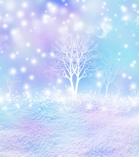 겨울 숲입니다. 겨울 풍경입니다. 눈 덮힌 나무 — 스톡 사진