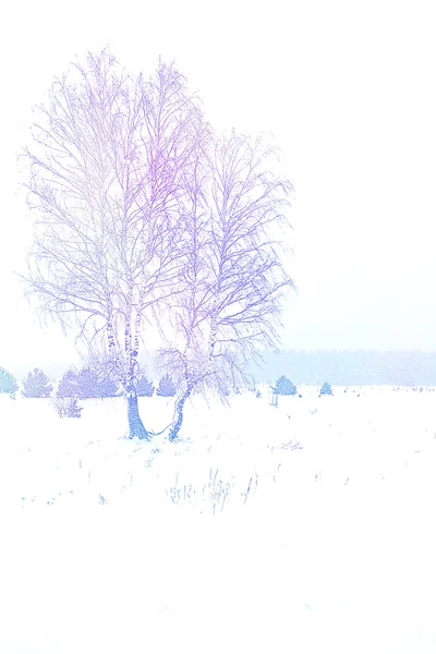 Bosque de invierno. Paisaje invernal. Árboles cubiertos de nieve — Foto de Stock