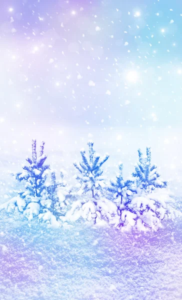 Bosque de invierno. Paisaje invernal. Árboles cubiertos de nieve — Foto de Stock