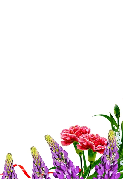 Ramo de flores clavel. Flores aisladas sobre fondo blanco —  Fotos de Stock